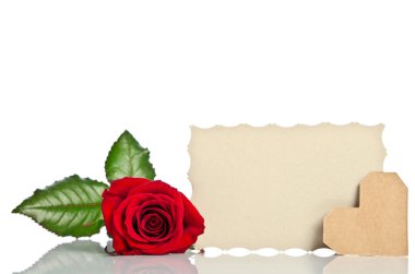 Beyaz üzerine kırmızı gül valentine ve metin için boş hediye kartı ile