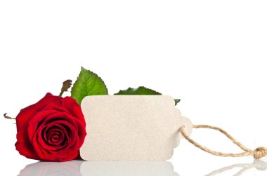 metniniz için boş etiket ile kırmızı gül 