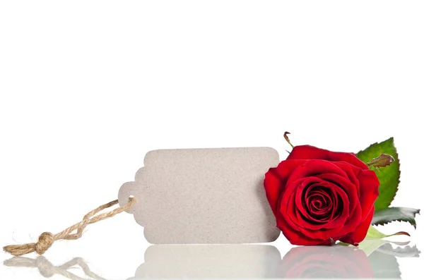 Rote Rose mit leerem Tag für Ihren Text auf weißem Hintergrund — Stockfoto