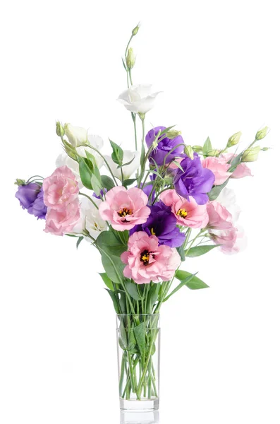 Bunch of violet, white and pink eustoma flowers in glass vase — Stock Photo, Image