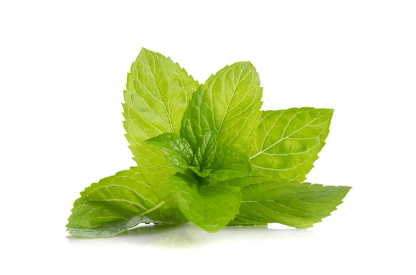Green leaves of fresh mint  isolated on white background — Stock Photo, Image
