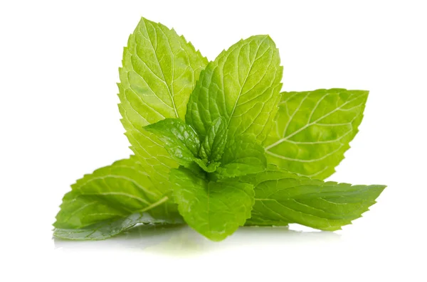 Grüne Blätter frischer Minze isoliert auf weißem Hintergrund — Stockfoto