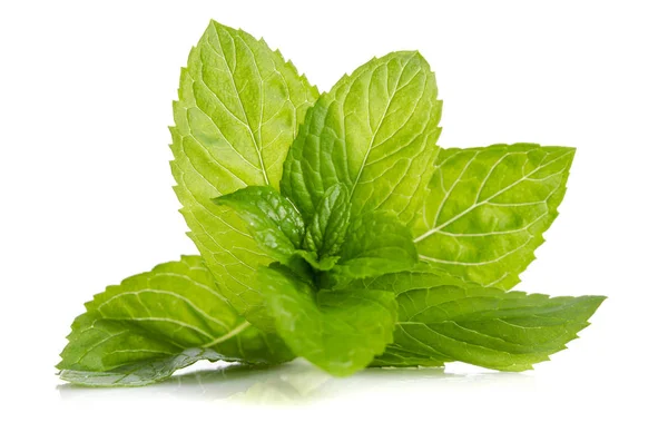 Grüne Blätter frischer Minze isoliert auf weißem Hintergrund — Stockfoto