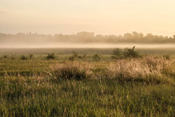 野生の畑で夜明け 日の出の美しい風景 — ストック写真