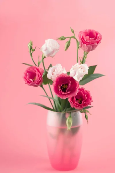 Bunch of white and pink eustoma flowers in glass vase — Stock Photo, Image