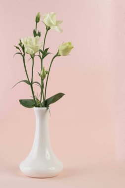 Cam vazoda bir demet beyaz Eustoma çiçeği