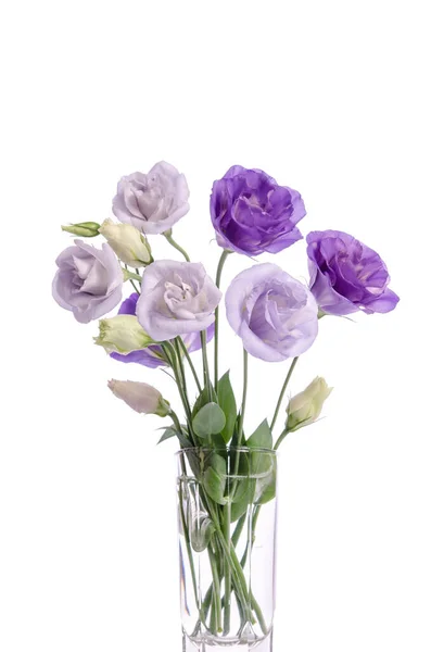 Cacho Flores Eustoma Violeta Branco Vaso Vidro Isolado Branco — Fotografia de Stock