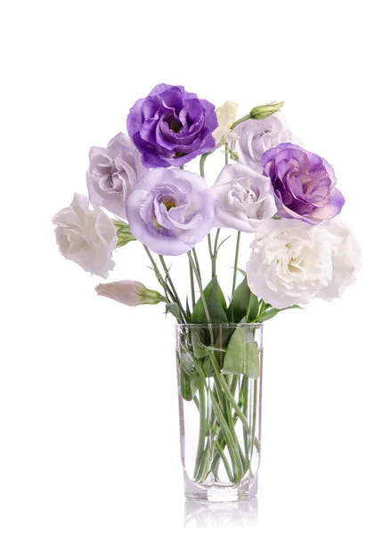 Kilka Fioletowe Białe Fioletowe Kwiaty Eustoma Szklanym Wazonie Izolowane Białym — Zdjęcie stockowe