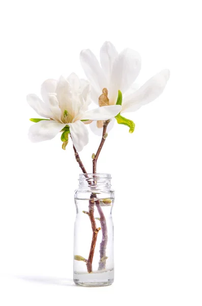 Schöne Zarte Weiße Magnolie Glasflasche Isoliert Auf Weißem Hintergrund — Stockfoto