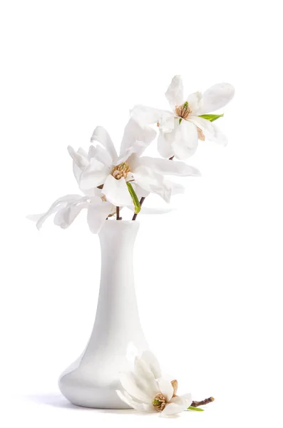 Beau Bouquet Délicat Magnolia Blanc Gros Plan Dans Vase Sur — Photo