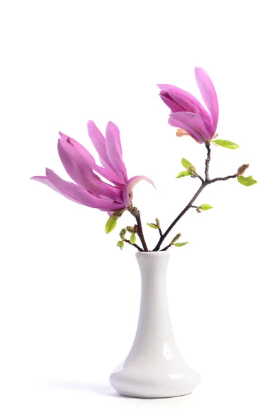 Schöne Zart Lila Magnolie Nahaufnahme Einer Vase Auf Weißem Hintergrund — Stockfoto