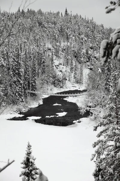 Paesaggio invernale — Foto Stock