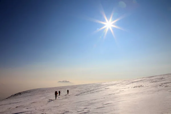 Alpinistes au sommet de Haut de Ploskiy Tolbachik . — Photo