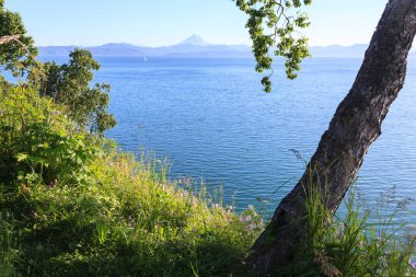 Kamçatka 'da Bay Avachinskaya.