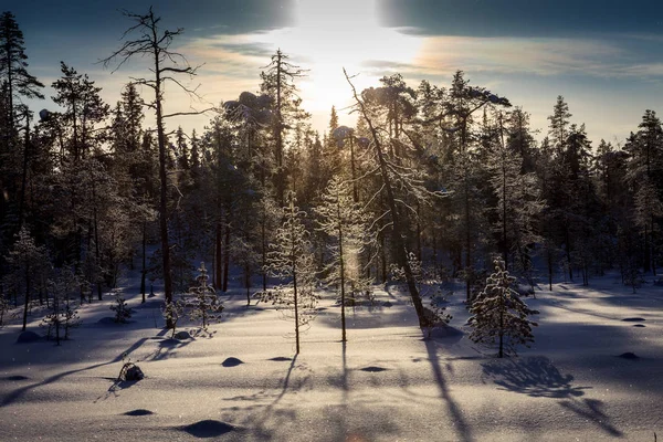 Parque Nacional de Oulanka . Imagen De Stock