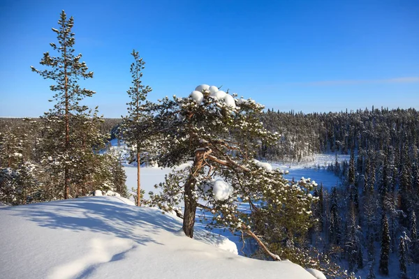 Parque nacional de oulanka — Fotografia de Stock