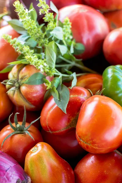 Большие свежие помидоры — стоковое фото