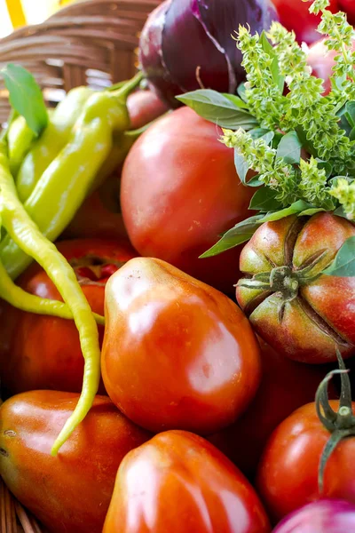 Grandes tomates rouges fraîches — Photo