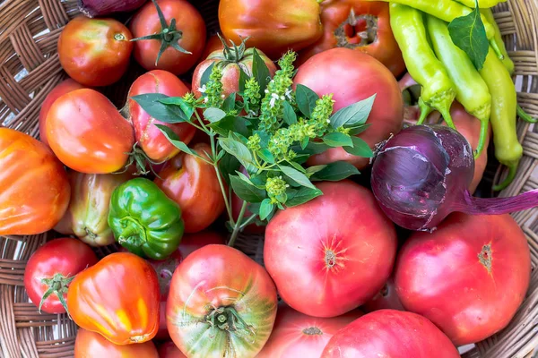 Tomat merah segar besar — Stok Foto