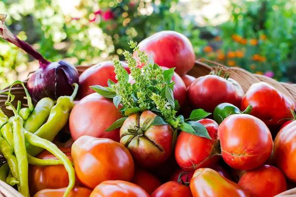 Grandes tomates rouges fraîches — Photo