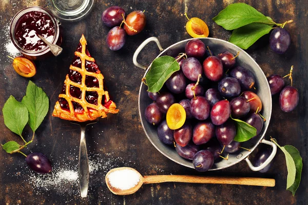 Plum tart and fresh plums — Stock Photo, Image