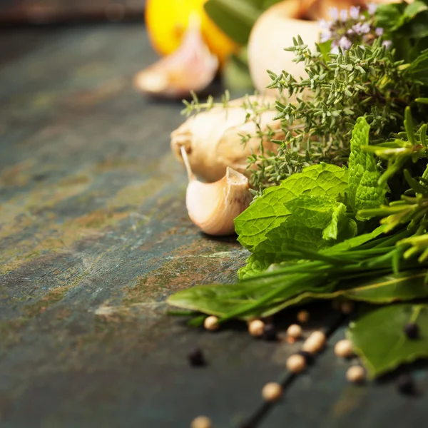 Herbs and spices selection — Stock Photo, Image