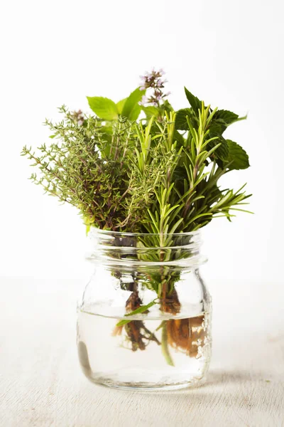 Fresh italian herbs in water — Stock Photo, Image