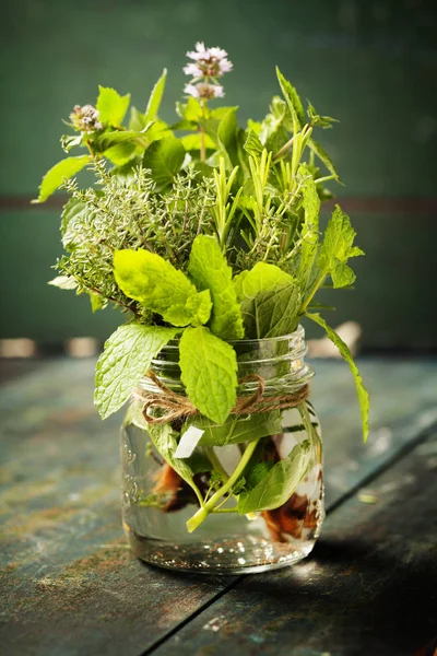 Fresh italian herbs in water — Stock Photo, Image