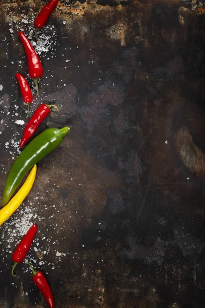 Hot Chilli Peppers and salt — Stock Photo, Image