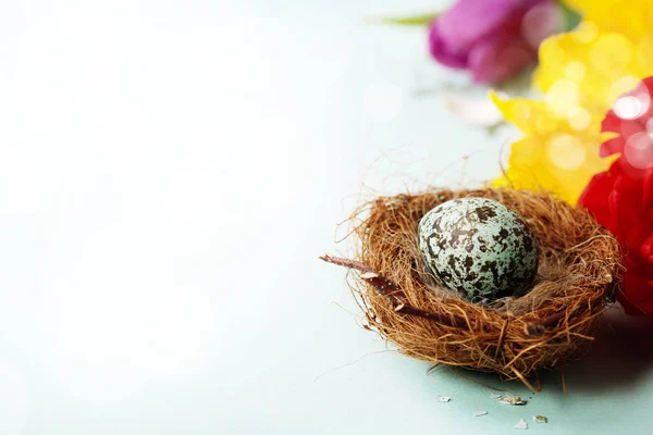 Ovo de Páscoa em ninho de pássaros com flores de primavera — Fotografia de Stock