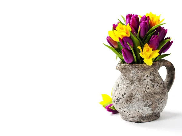 Frühlingsblumen auf weißem Hintergrund — Stockfoto