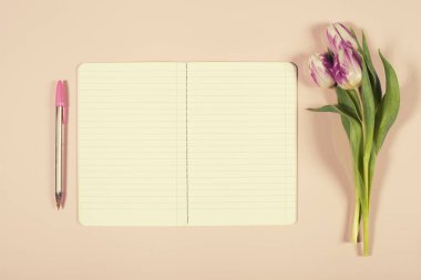 Pembe Laleler ve dizüstü