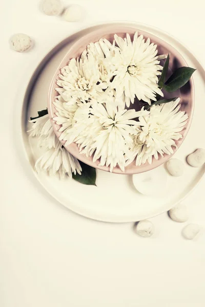 Close up of flowers floating in bowl of water — Stock Photo, Image