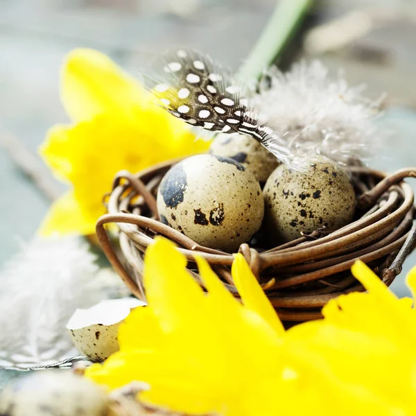 Composición de Pascua con tulipanes, huevos coloridos y nido — Foto de Stock