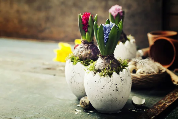 Flores de jacinto, herramientas de jardín y huevos de Pascua —  Fotos de Stock