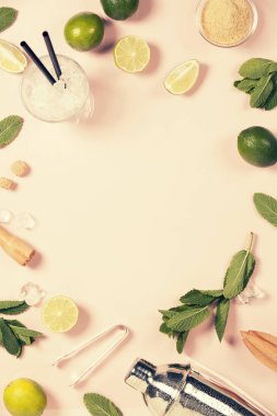 Mojito kokteyl malzemeler