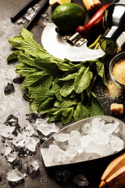 Mojito kokteyl malzemeler