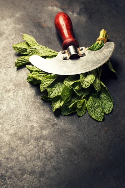 Mojito cocktail ingredients — Stock Photo, Image