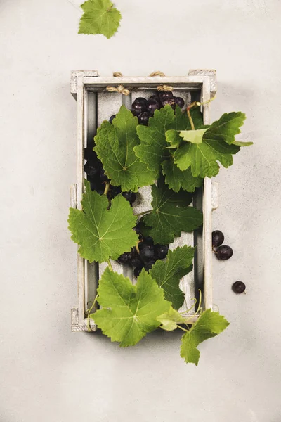 Fresh grape on vintage background — Stock Photo, Image