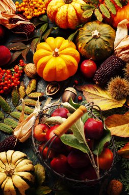 Sonbahar sakin bir hayat 