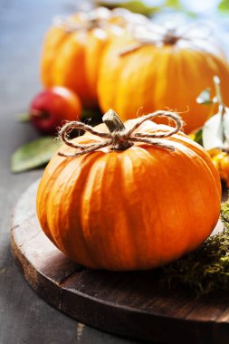 Kırsal arkaplanda kabak bileşimi