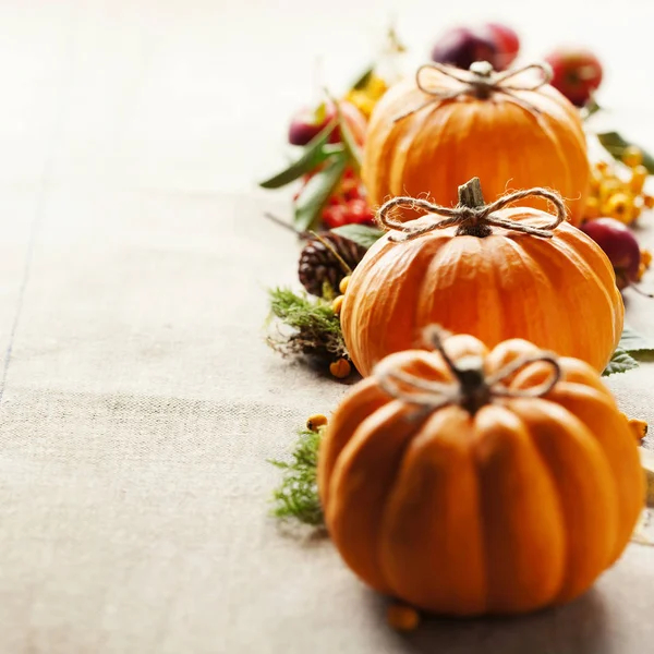 Calabazas sobre fondo rústico — Foto de Stock