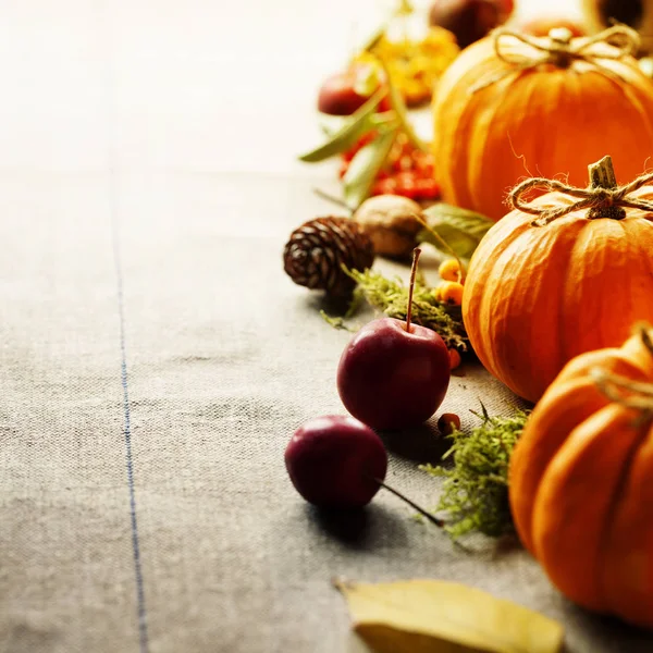 Pumpkins on rustic background — Stock Photo, Image