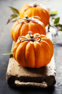 Kırsal arkaplanda kabak bileşimi