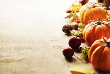 Kırsal arkaplanda kabak bileşimi