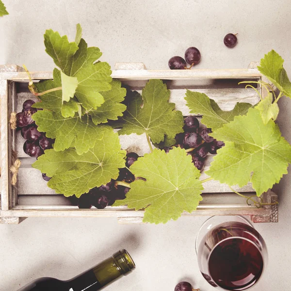Víno a vinné hrozny nad šedé béžové pozadí — Stock fotografie