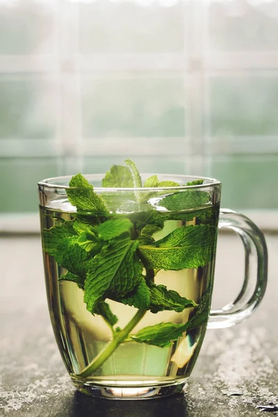 Thé à la menthe fraîche — Photo