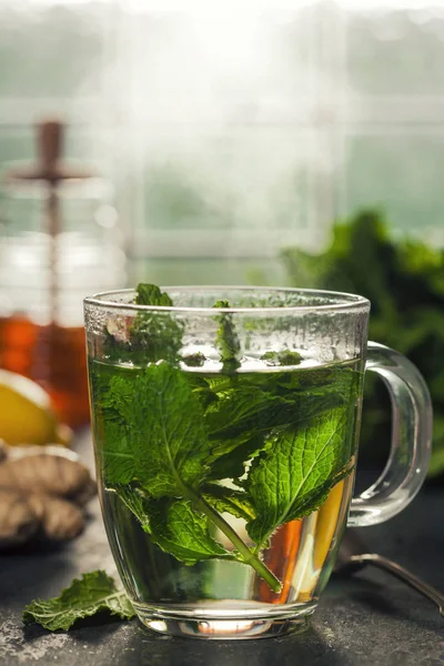 Fresh mint tea — Stock Photo, Image