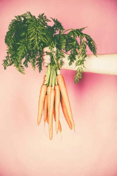Bunch of fresh carrots in the hand — Stock Photo, Image