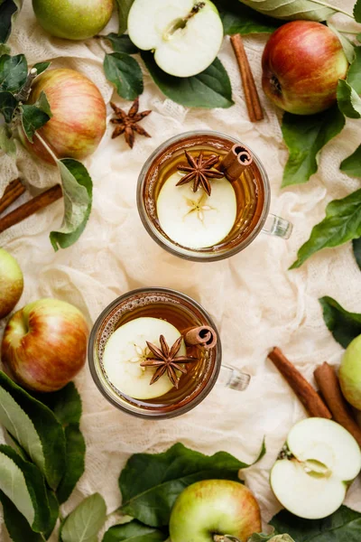 Aceto di mele fatto in casa, posa piatta — Foto Stock